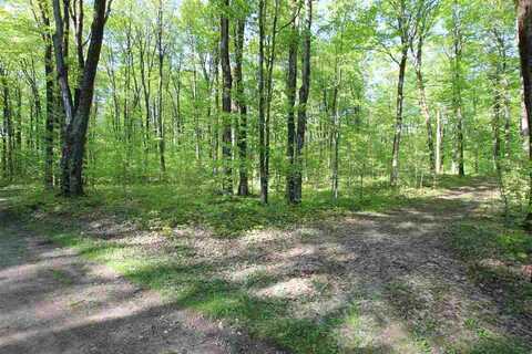 2620 Jordan Hills, East Jordan, MI 49727