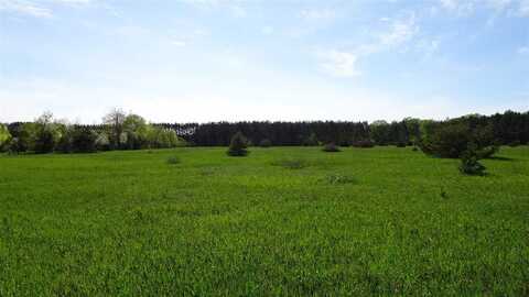 TBD Priest Rd, Mancelona, MI 49659