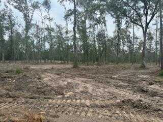 3870 CR 2590 tract 1, Other, TX 75936