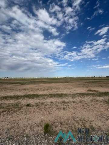 0001 Michael, Dexter, NM 88230