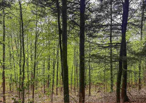 00 River Road, Groton, NH 03266