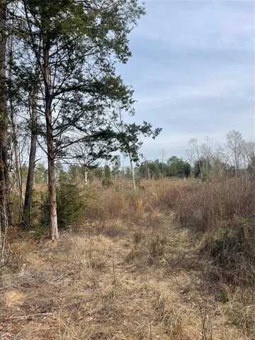 Tbd CR 272, Henderson, TX 75652