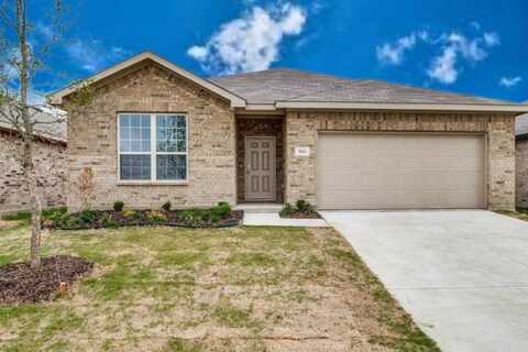 924 Billups Drive, Van Alstyne, TX 75495