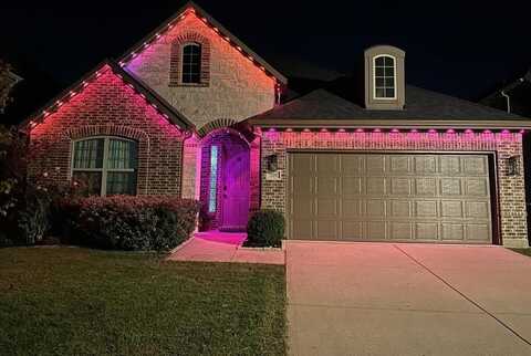729 Calliopsis Street, Little Elm, TX 75068