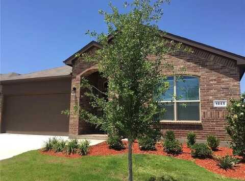 1045 Spanish Needle Trail, Fort Worth, TX 76177
