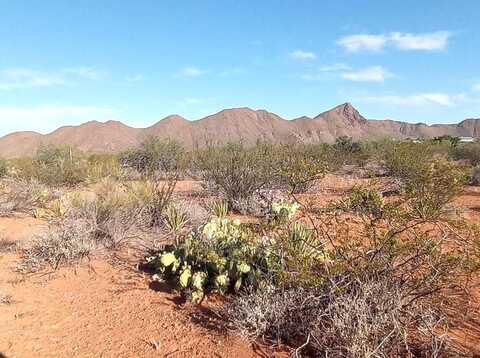 TBD Little Yisrael Lane, Terlingua, TX 79852