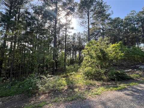 239 Triton Trail, Broken Bow, OK 74728
