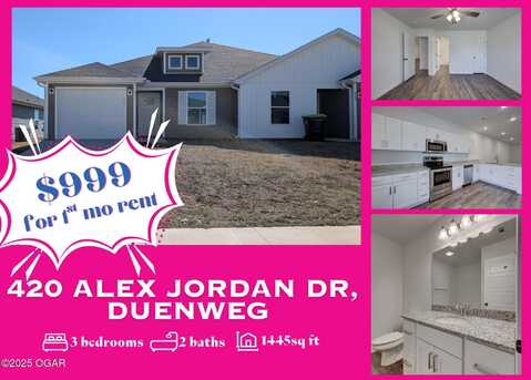 420 Alex Jordan Drive, Duenweg, MO 64841