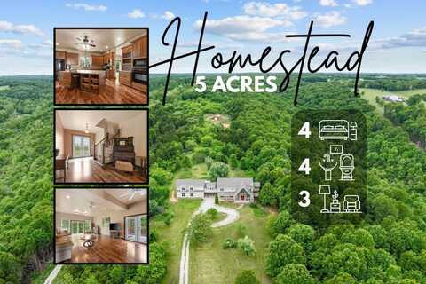 831 Wilson Creek Road, Galena, MO 65656