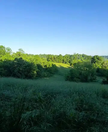 149 Dennis Chaney Road, Greensburg, KY 42743
