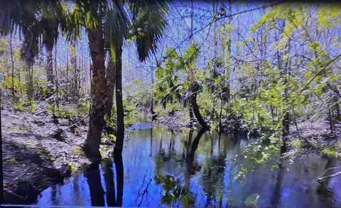 4278 Woods Creek Rd, Perry, FL 32347