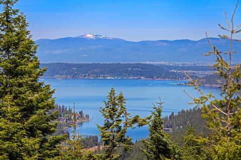 9338 S Caribou Ridge Rd, Harrison, ID 83833