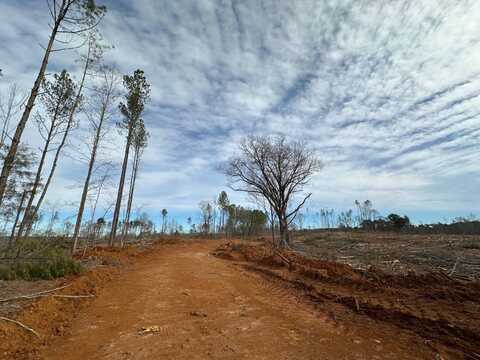 11 County Road 2251, Kosciusko, MS 39090
