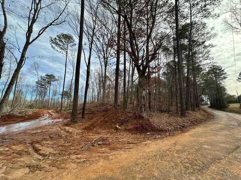 10 County Road 2251, Kosciusko, MS 39090