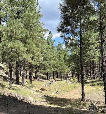 35 Wild Iris Rd, Bluewater, NM 87005