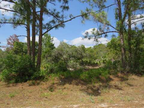 426 Blue Moon Ave, Lake Placid, FL 33852