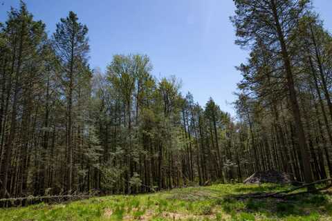 L28 Off Nyc Rd, Colchester, NY 13752