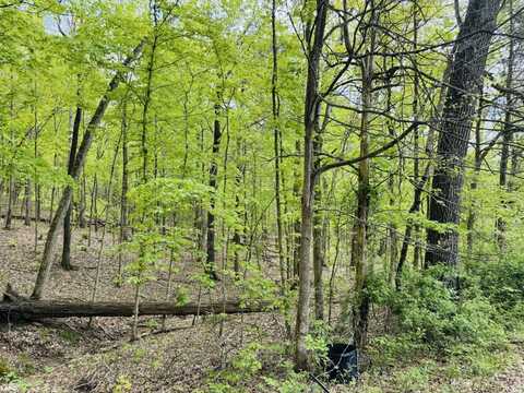 approximately 450 Fisher Ridge Road, Horse Cave, KY 42749
