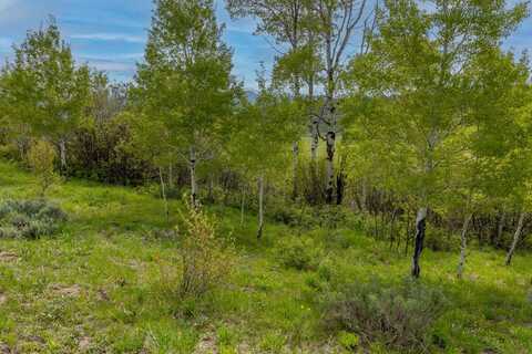 000 Grouse Loop Road, Freedom, ID 83120