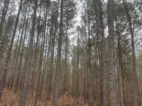 Barnside Drive, Grenada, MS 38901