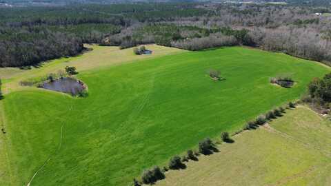 557 Bass Laird Road Tract B, Prentiss, MS 39474