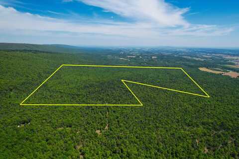 WP Lot 001 Aikey Rd, Laurelton, PA 17835