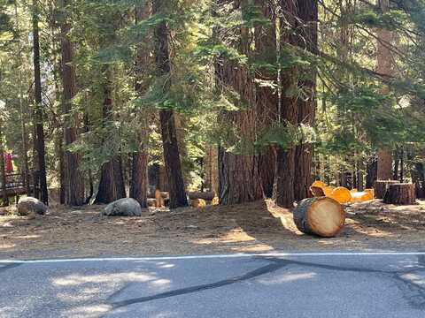 1134 Lake Ridge Road, Lake Almanor, CA 96137