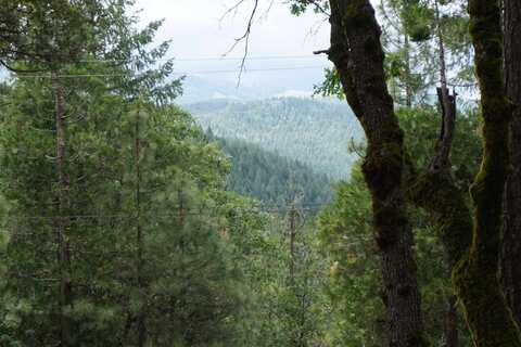 59171 Overload Road, Cromberg, CA 96103