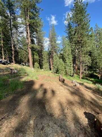 1066 Buckskin Lane, Portola, CA 96122