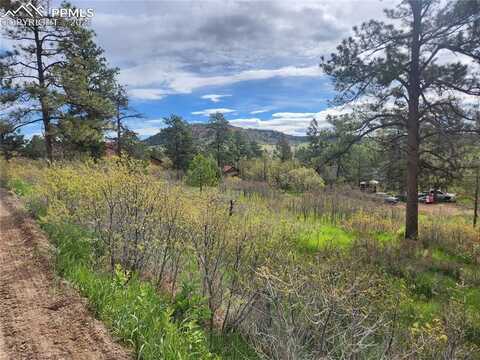 Buena Vista Avenue, Palmer Lake, CO 80133