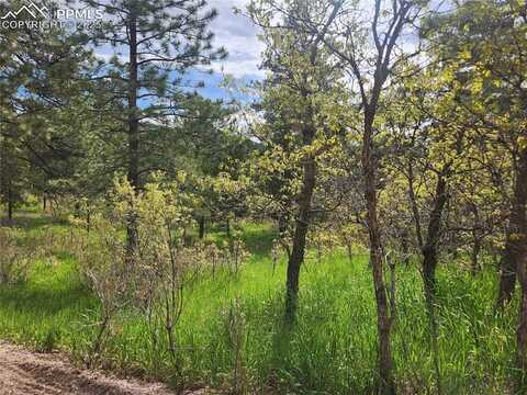 Buena Vista Avenue, Palmer Lake, CO 80133