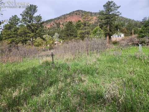 Buena Vista Avenue, Palmer Lake, CO 80133