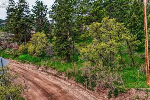 Virginia Avenue, Palmer Lake, CO 80133