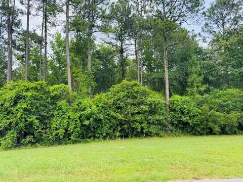 Lot 80 Spring Oak Dr., Carriere, MS 39426