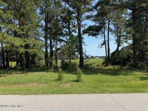 1159 Greenbriar Drive, Vass, NC 28394