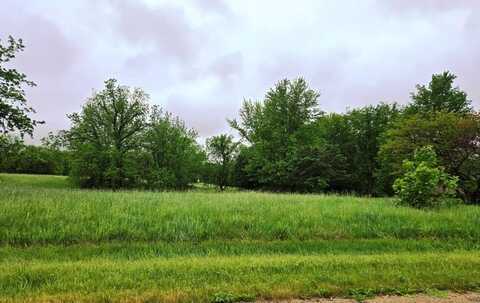 3-479 SHADY LANE, LAKE CARROLL, IL 61046