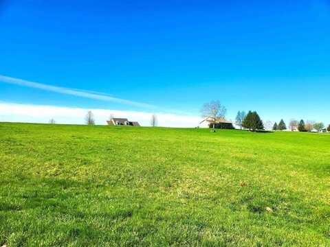23-206 BLACKBERRY CT, LAKE CARROLL, IL 61046