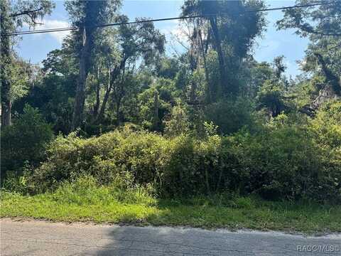 4785 S Silver Fox Terrace, Inverness, FL 34452