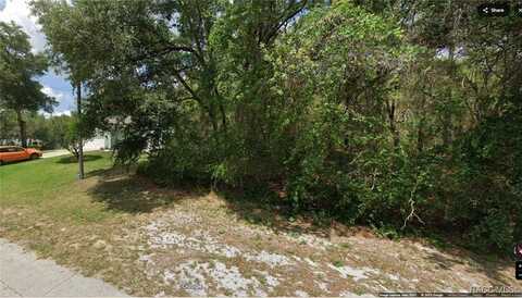 9449 N Sherman Drive, Citrus Springs, FL 34434