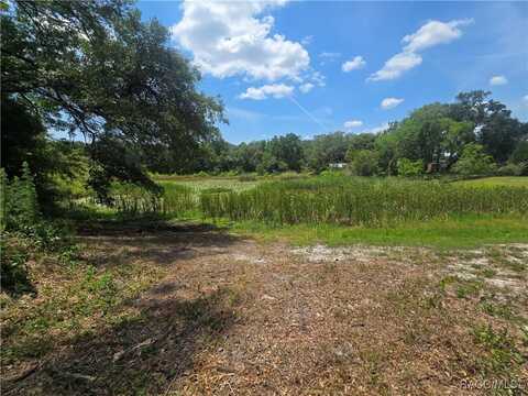6532 N Iris Drive, Hernando, FL 34442