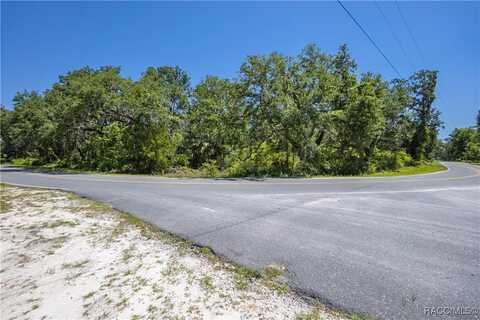 105 NE 239 Avenue, Old Town, FL 32680