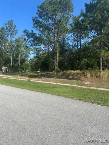 2419 W Axelwood Drive, Beverly Hills, FL 34465