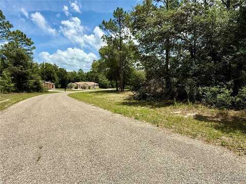 2628 W Scilla Drive, Dunnellon, FL 34434