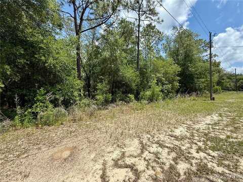 8445 N Foresome Way, Citrus Springs, FL 34434