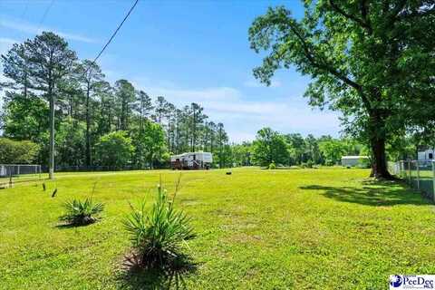 325 Locust Tree Court, Gresham, SC 29546