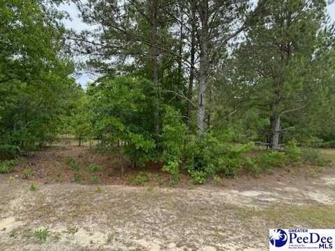 Meadow View Drive, Hartsville, SC 29550