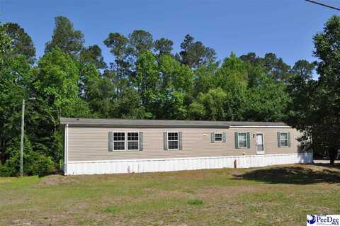 1214 Highway 9, Nichols, SC 29581