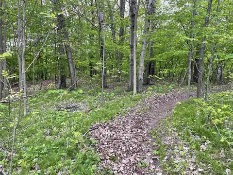 587 CROSS COUNTRY Court, HOBART, WI 54155