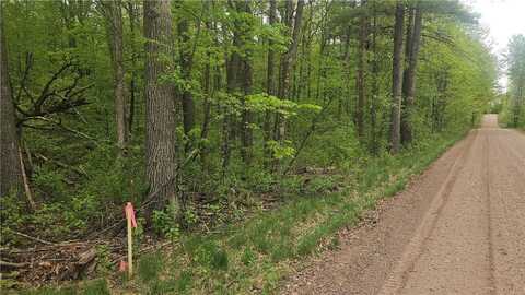 Lot 2 Buckeye Lane, Stone Lake, WI 54876