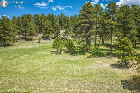 8790 Moss Rock Road, Colorado Springs, CO 80908